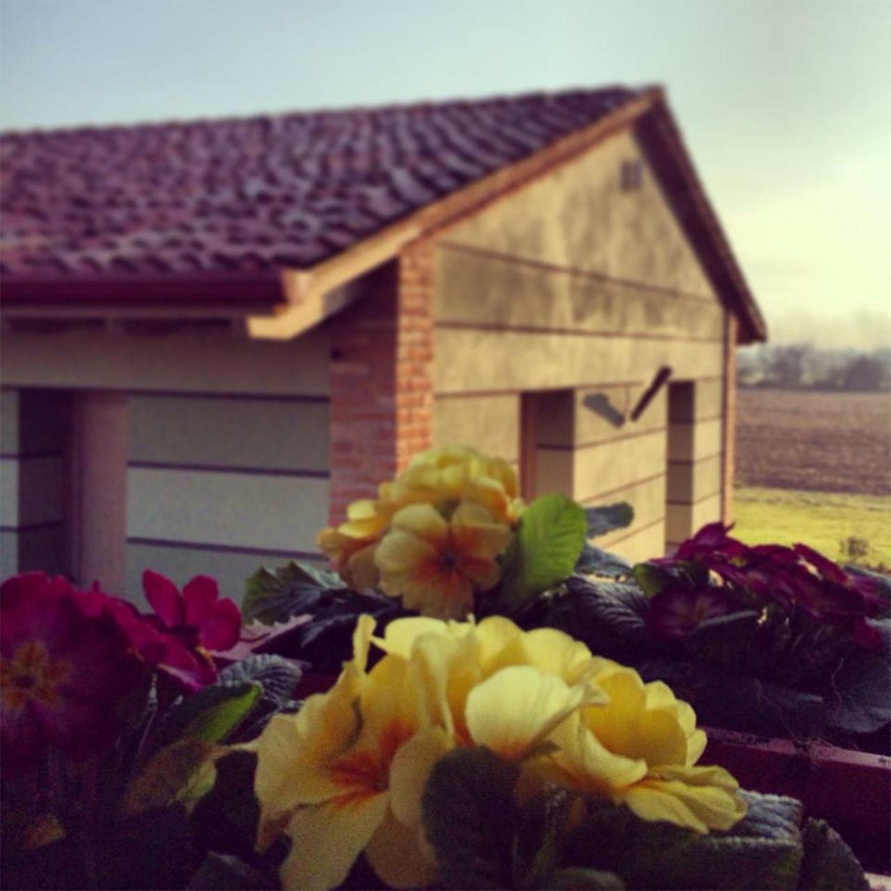 Agriturismo Bassanine Монтичелли-д’Онджина Экстерьер фото