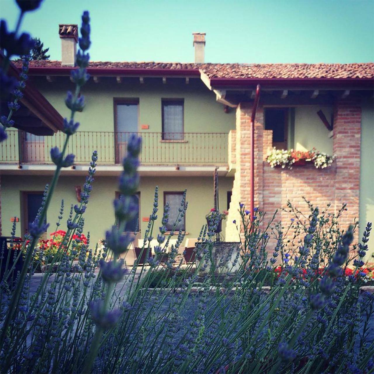 Agriturismo Bassanine Монтичелли-д’Онджина Экстерьер фото