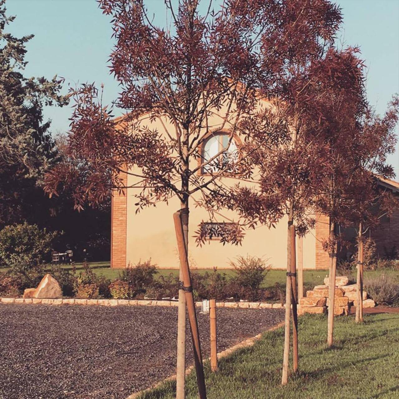 Agriturismo Bassanine Монтичелли-д’Онджина Экстерьер фото